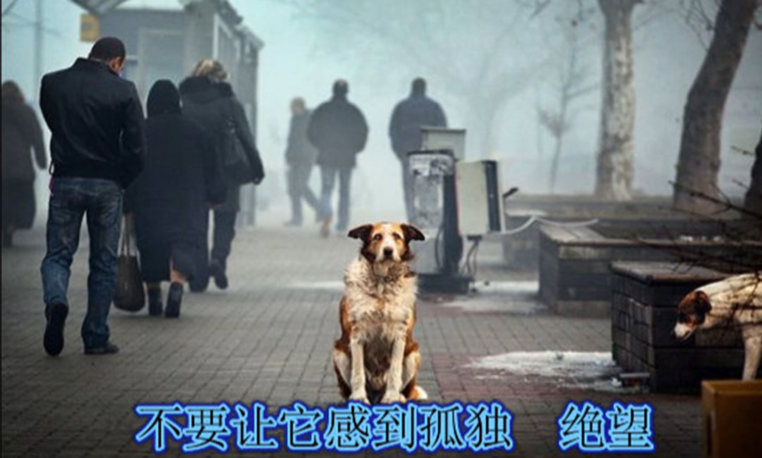 汉中爱影圈微博微信转发案例